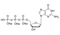 UltraPure dGTP (100mM)